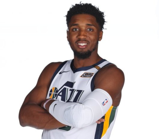 最终成长为 最终成长为